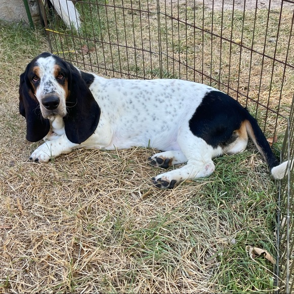 Hello friends! - Picture 6 of 16